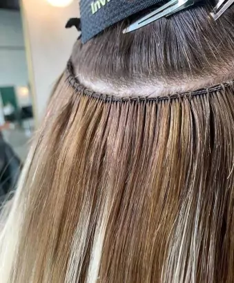 Formation WEFT